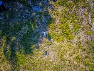 Drone flying desert bush area