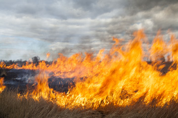 Big fire in the field