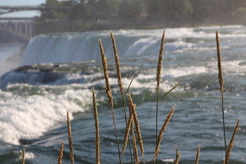 Niagara falls
