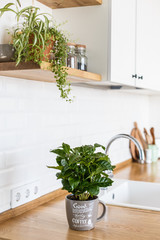 Modern white kitchen scandinavian style