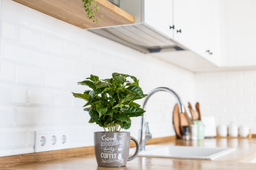 Modern white kitchen scandinavian style