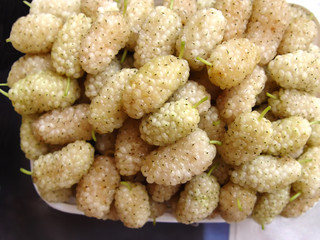 Mulberry berries lie on a tray