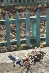 Naklejka premium Pruning shears and cut branches