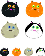 Fluffy Round Cats