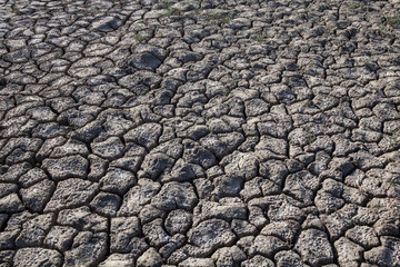 Cracked dry ground