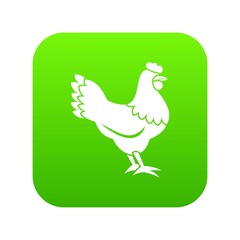 Hen icon digital green for any design isolated on white vector illustration