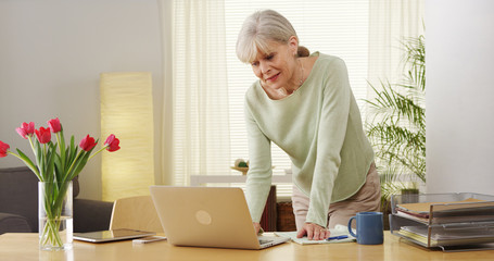 Fototapeta na wymiar Senior woman laptop computer finances
