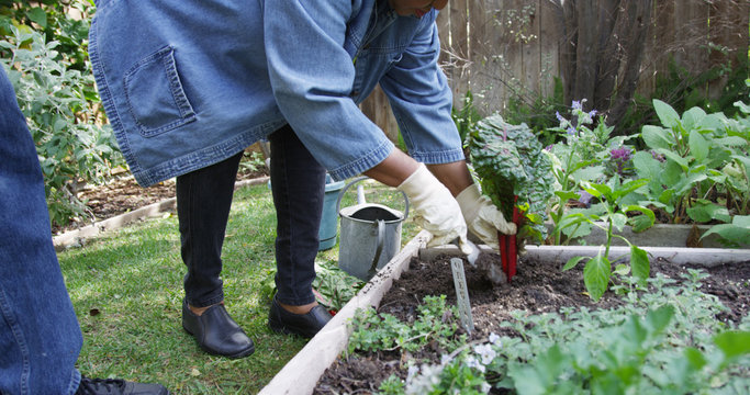 Elderly African couple working together in garden