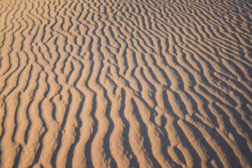 textura de lineas de arena en el desierto