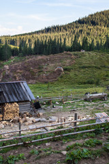 Old shed in the Ukrainian Carpathians