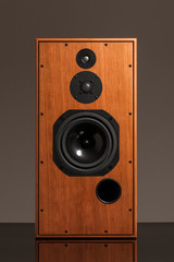 hi-end loudspeaker front view
