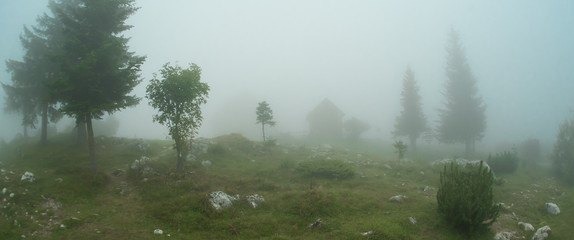 Panoramic view of summer morning fog cloud in mountain scenery