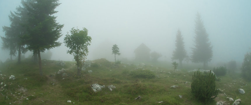 Fototapeta Panoramic view of summer morning fog cloud in mountain scenery