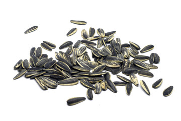 sunflower seed texture pattern
