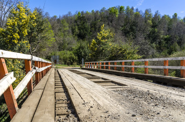 Bridge on the forest