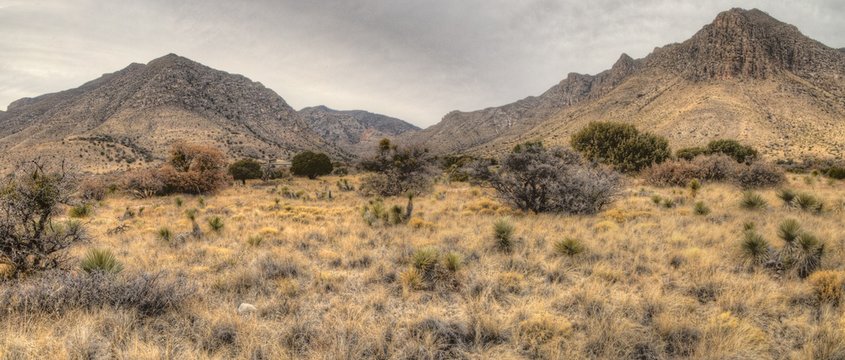 Guadalupe National Park, New Mexico