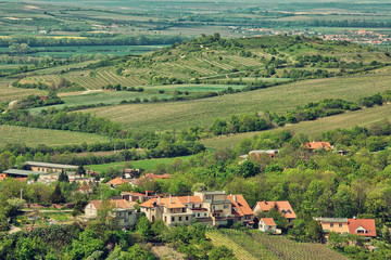 Fototapeta na wymiar Rural landscape in Southern Moravia, Czech Republic. Aerial view.