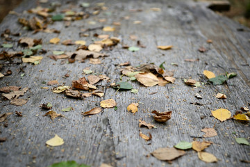 Dry leaves on the surface of an old wooden table in the forest
