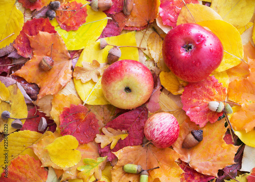 apples and autumn leaves with rain drops