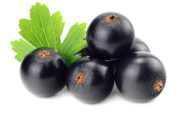 black currant with green leaf isolated on white background. macro