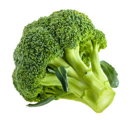 broccoli isolated on white without shadow
