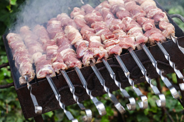 Outdoor cooking of Shashlik, meat dish
