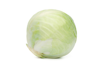 Ein ganzer Weißkohl mit Wassertropfen