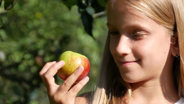 Child in Apple Orchard, Kid Tasting Fruits in Tree, Farmer Girl at Village
