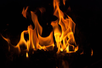 fire flames for background. Camping vacation food cooking