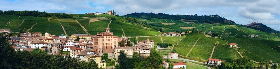 Fototapeta na wymiar Panorama of Barolo (Piedmont, Italy) with the town, the medieval castle and the vineyards. Barolo is the main village of the Langhe wine district