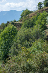Road through the mountain in the valley of aran