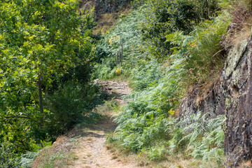 Road through the mountain in the valley of aran