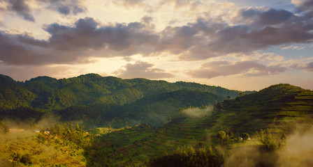 Landscape in southwestern Uganda, at the Bwindi Impenetrable Forest National Park, at the borders...