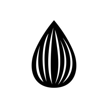 Apricot kernel (seed)
