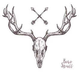Gordijnen Sketch Of Hipster Deer Skull With Tribal Arrows. Boho Hand Drawn Illustration. Anatimical Drawing Of Skull With Horns © alexrockheart