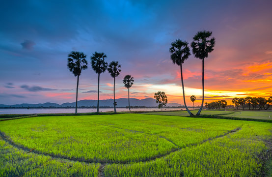 &ldquo;An Giang&rdquo; Images – Browse 8 Stock Photos, Vectors, and Video | Adobe Stock