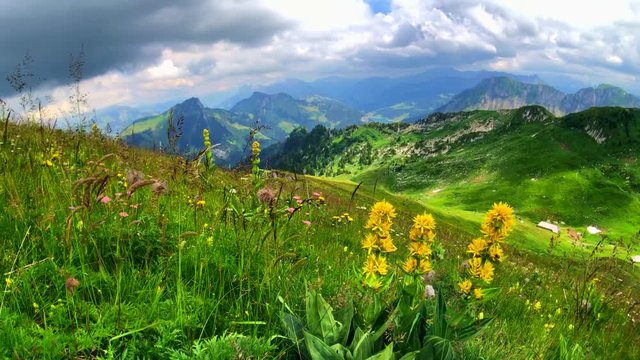 Summer time mountain nature panoramic landscape near Rochers-de-naye, Switzerland