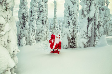 Authentic Santa Claus in Lapland.