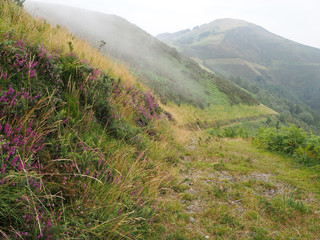 Camino en la montaña cubierta de niebla