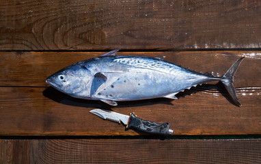 Fish with knife