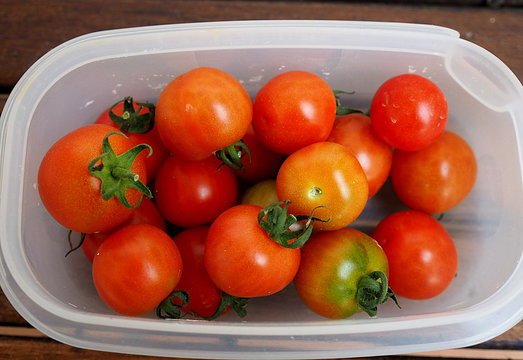 Tomates cherry en un tuper de pl&aacute;stico