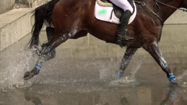 Rider with horse crossing water. Slow motion
