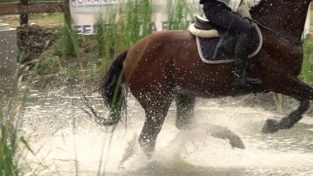 Rider with horse crossing water. Slow motion
