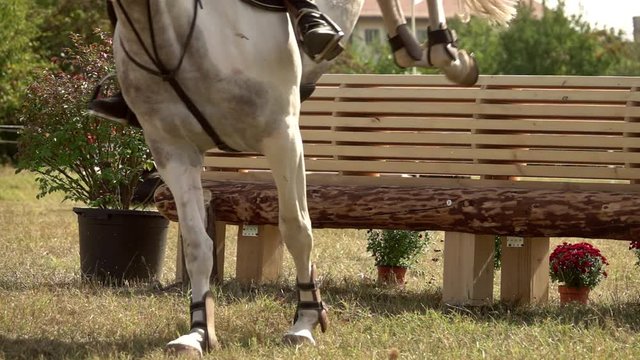 rider with horse, jumping a hurdle. Equestrian Sports. Slow motion
