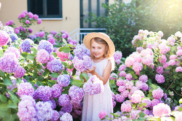 Little girl isin bushes of hydrangea flowers in sunset garden. Flowers are pink, blue, lilac and...