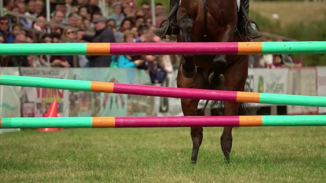rider with horse, jumping a hurdle. Equestrian Sports. Slow motion
