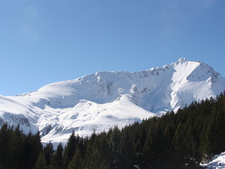 Fototapeta na wymiar Paysage d'hiver de montagne des pyrénées