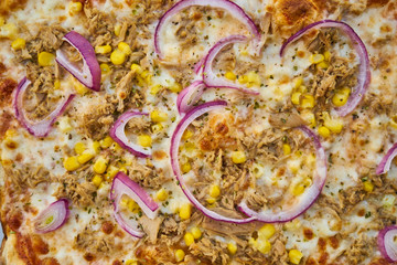 Pizza Detail with Red Onion