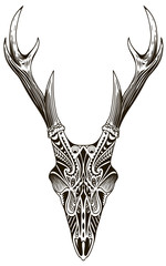 deer head