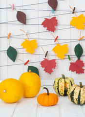 pumpkin october leaves 